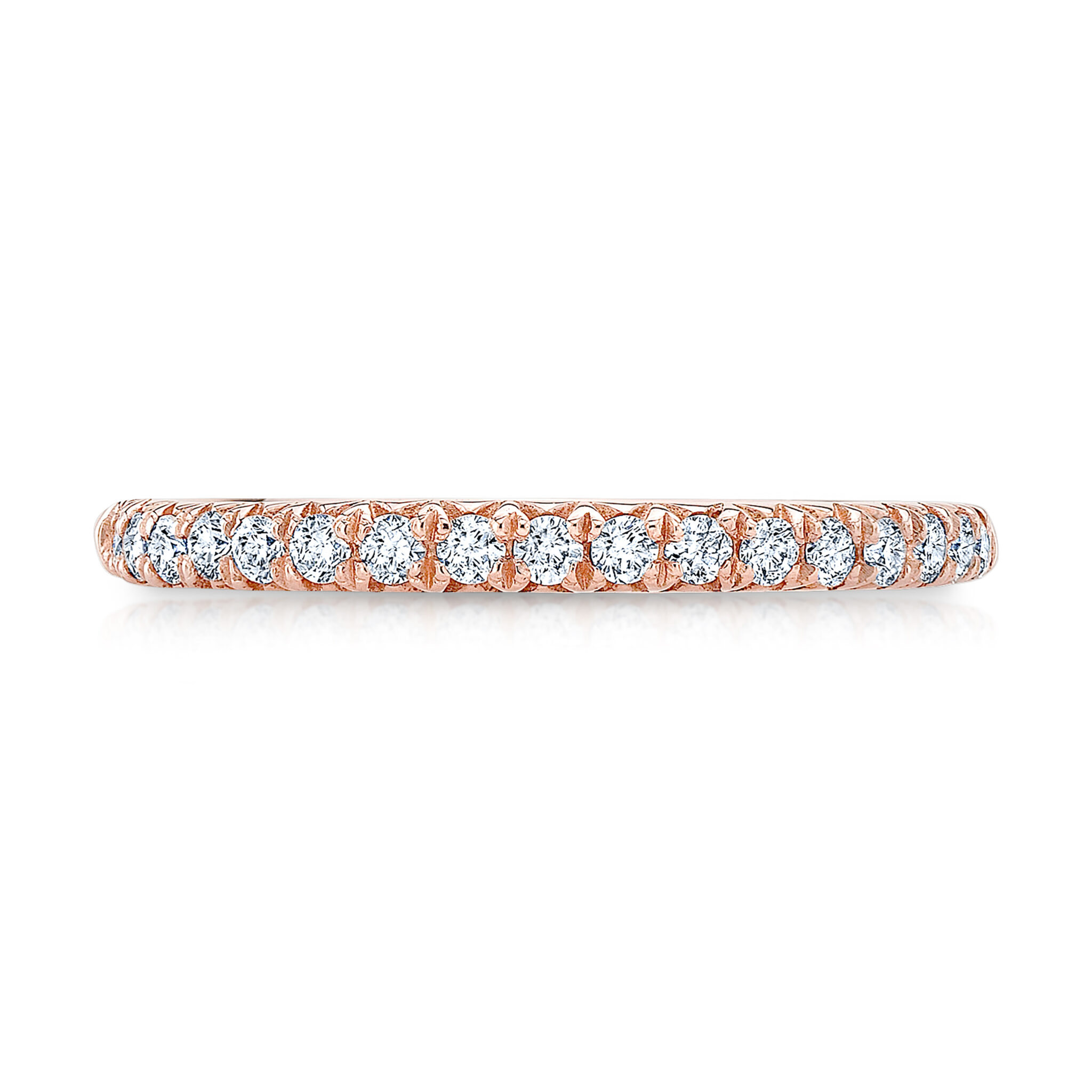 The Everbright Eternity Band - Image 3